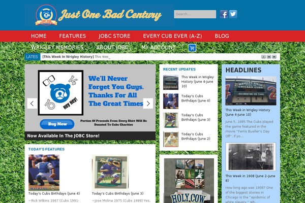 Magazine Child theme site design template sample