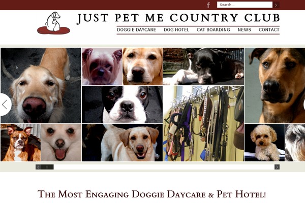 Duotive Three theme site design template sample