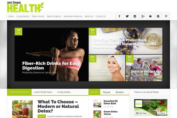 Nexus theme site design template sample