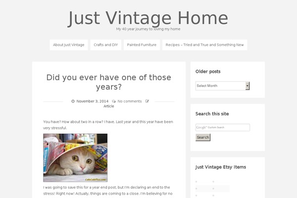 Site using Fancier Author Box by ThematoSoup plugin