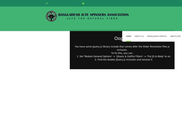 Bauer theme site design template sample