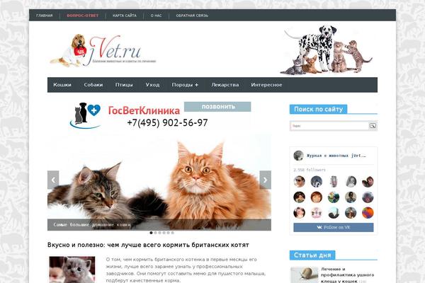 Focus Point theme site design template sample