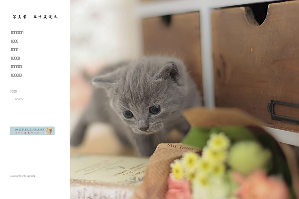 Avant_tcd060 theme site design template sample