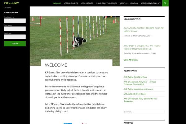 Site using Amazon Link plugin