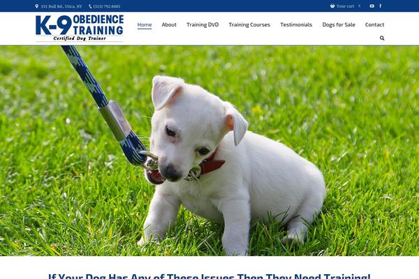 The7 theme site design template sample