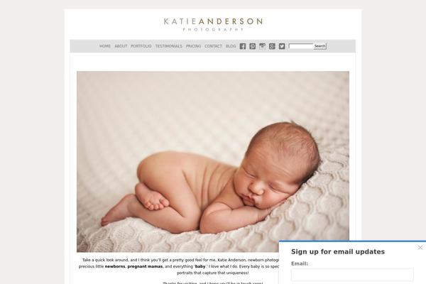 Prophoto4 theme site design template sample