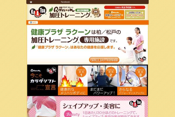 kaatsu-raccoon.com site used Raccoon