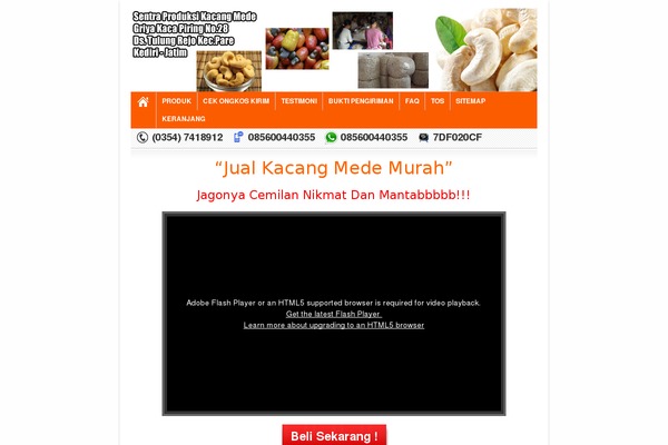Toko Landing theme site design template sample