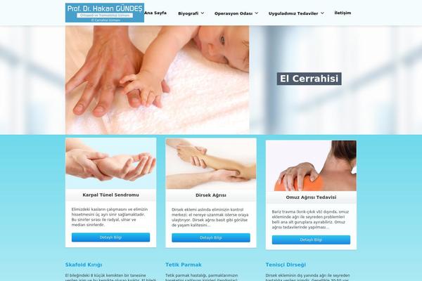 Envision theme site design template sample