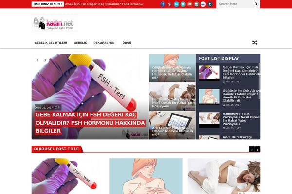 Site using Simple Ads Manager plugin