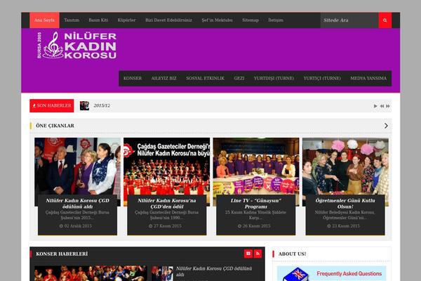 Agazine theme site design template sample