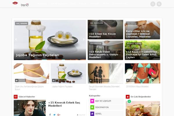 The Fox theme site design template sample