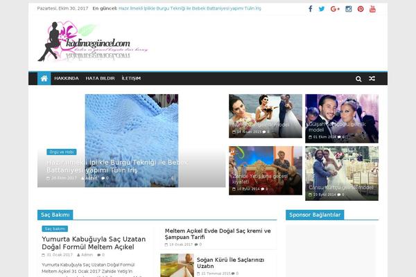 ColorMag theme site design template sample