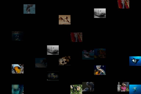 kadupinheiro.com site used Photogrid