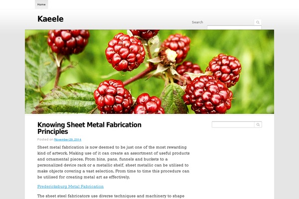 Snowberry theme site design template sample
