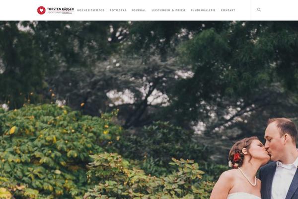 Salient theme site design template sample