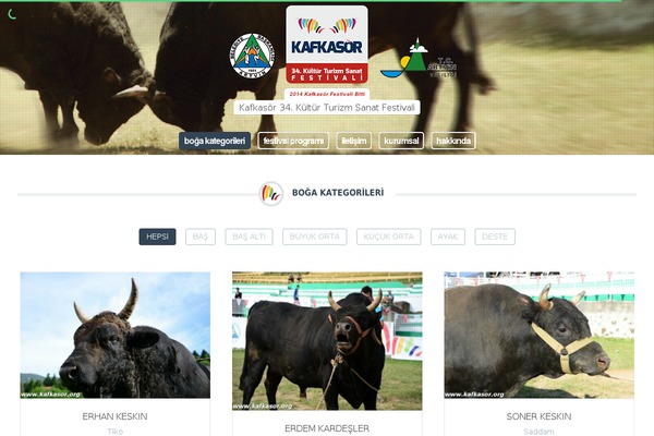 Site using A3-Social-Sidebar plugin