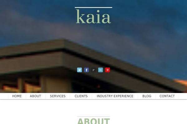 Scrn theme site design template sample