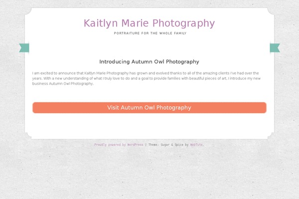 Sugar and Spice theme site design template sample