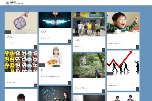Pinbin theme site design template sample