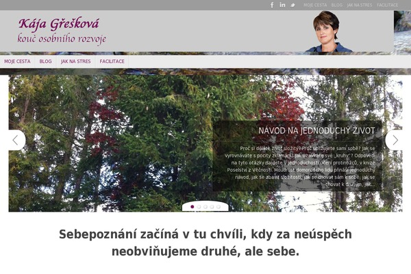 Tempera theme site design template sample