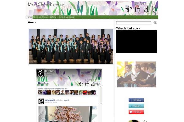 Site using Customized Recent Comments plugin