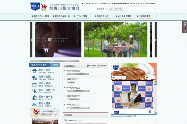 Original theme site design template sample