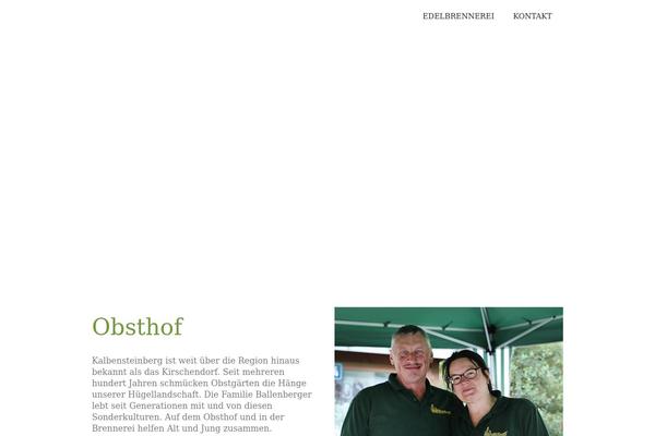WineShop theme site design template sample