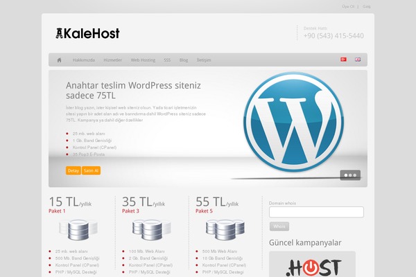 Epsilon theme site design template sample