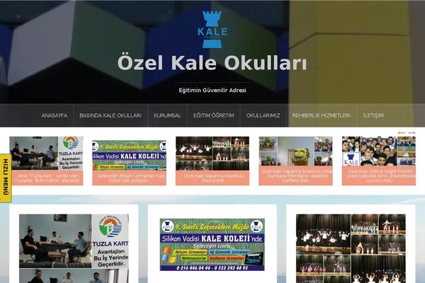 Site using AccessPress Social Icons plugin