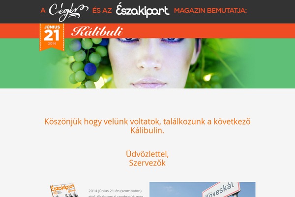 Salient theme site design template sample