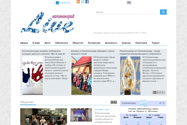 The Voux theme site design template sample
