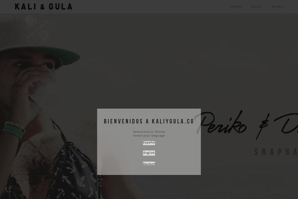 Visia theme site design template sample