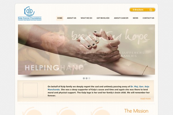 Dzonia Lite theme site design template sample