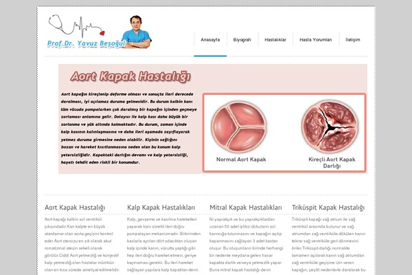RT-Theme 11 theme site design template sample