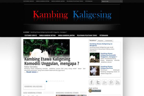 Resportsive theme site design template sample
