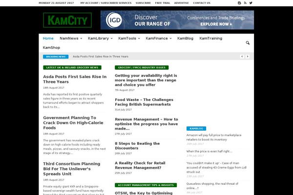 Newsmag Child theme site design template sample