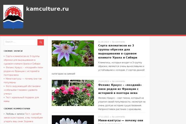 Admiral theme site design template sample
