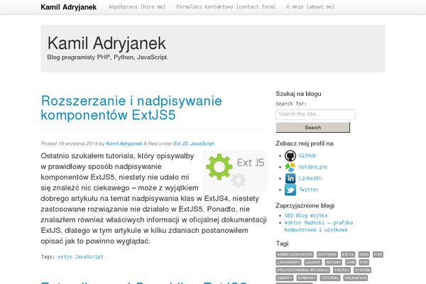 Activello theme site design template sample