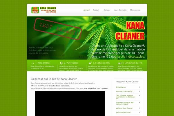 Ecobiz theme site design template sample