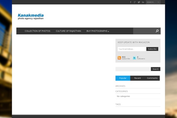 Magazon Wp theme site design template sample