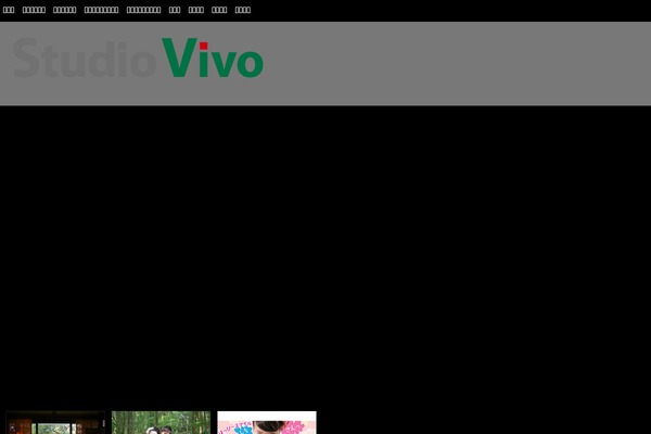 Vivo theme site design template sample