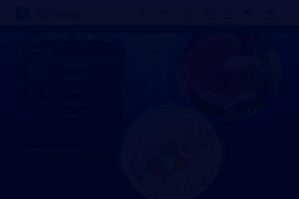 Site using Contact Form 7 add confirm plugin