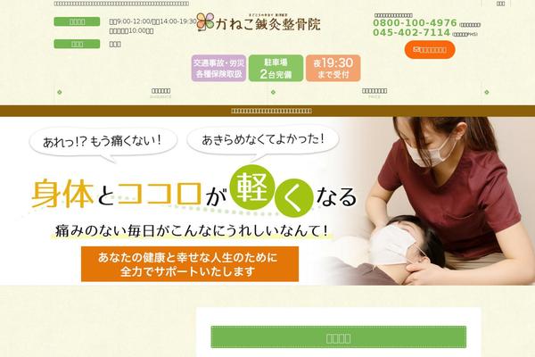 Site using Lightning-skin-pale plugin