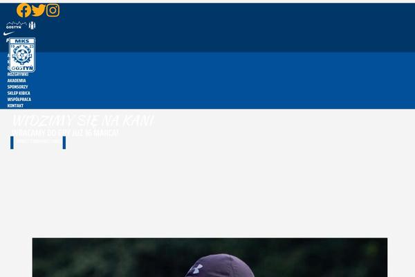 Gridiron theme site design template sample