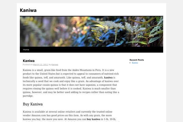Twenty Ten theme site design template sample