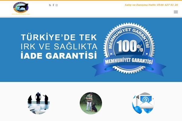 Customizr theme site design template sample