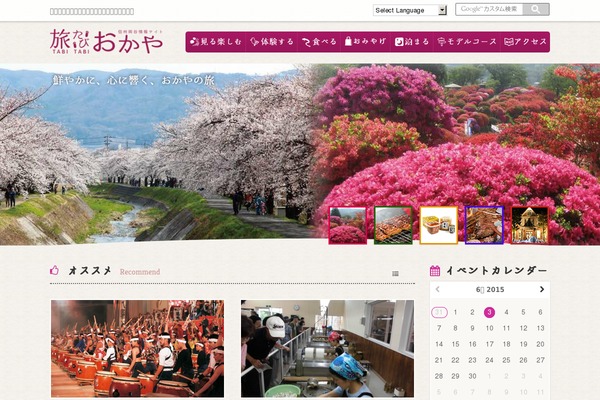 Site using Insta-gallery plugin