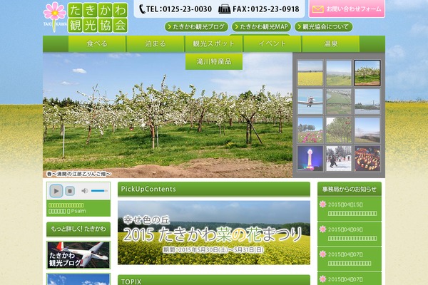Vanguard theme site design template sample