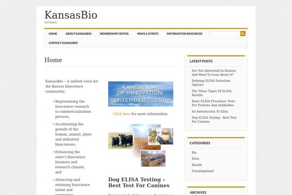 Attorney theme site design template sample